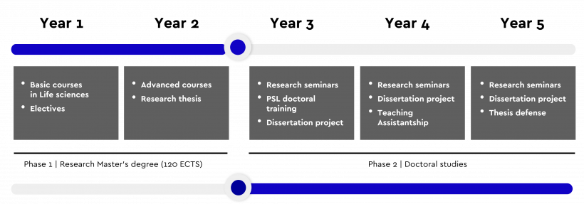 24fall申请季 | PSL硕博连读PhD项目申请时间公布