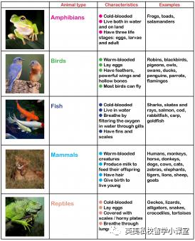 英国小学科学课关于动物都学哪些知识？这有一些实用的建议。