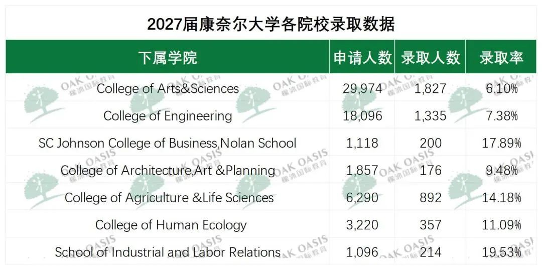 录取率上涨，康奈尔真的回归“亲民”人设！？这个竞争力自查工具你不会还没有吧？