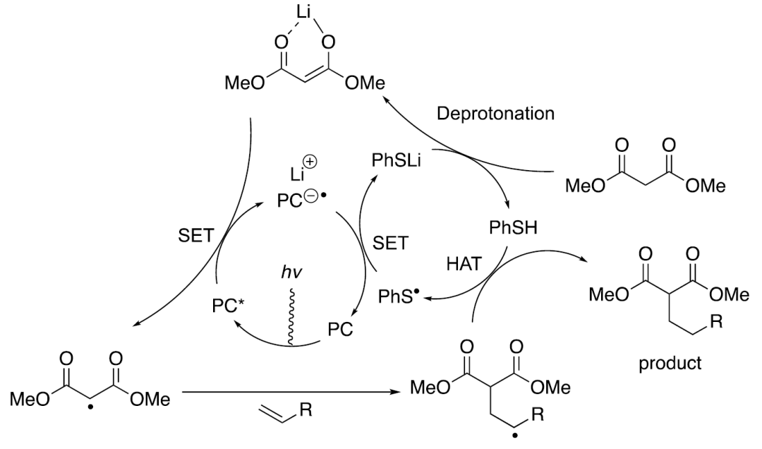 JACS Article：光诱导非活化烯烃与活化亚甲基的催化α-烷基化反应