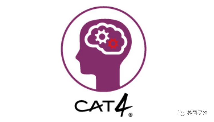 英国入学考试CAT 4解析，打开认知能力之窗！