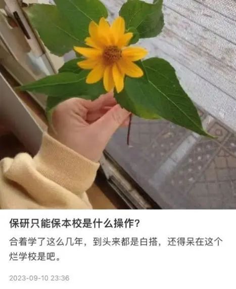 保研名额没用完？！为什么大家开始不保研了？