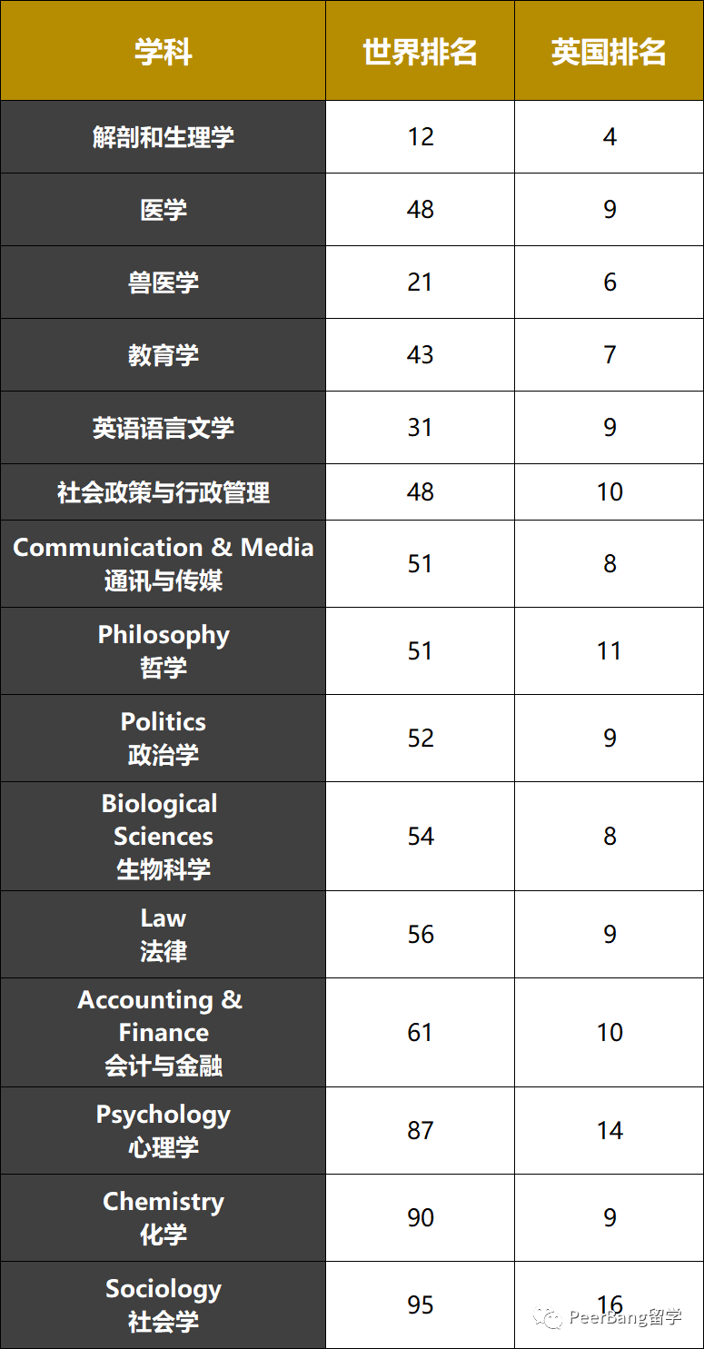 备受追捧的这所英国大学，有哪些王牌专业？