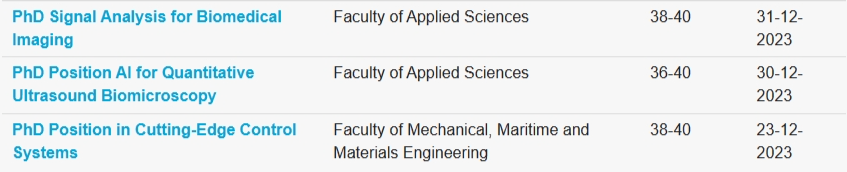 世界顶尖理工大学之一荷兰代尔夫特理工大学! 最新72个岗位制项目来了! 年入€42,000! 申请条件和材料等你来看！