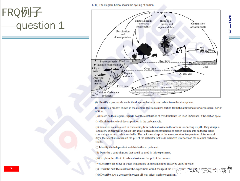 2024AP备考 | AP环境科学重难点梳理及备考方法