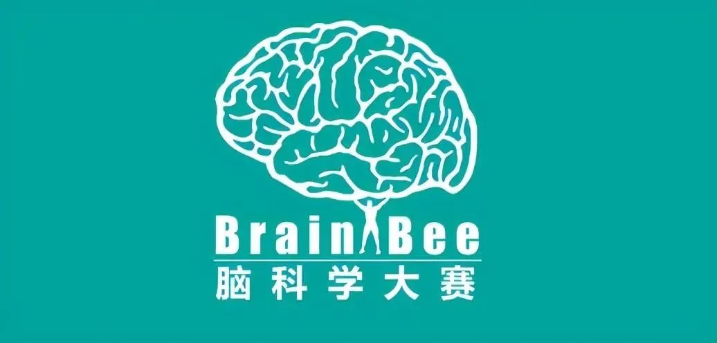 留学过来人告诉你，24年上半年还有哪些值得参加的国际竞赛！