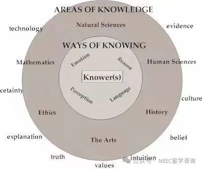 国际课程系列 | IB TOK是什么？