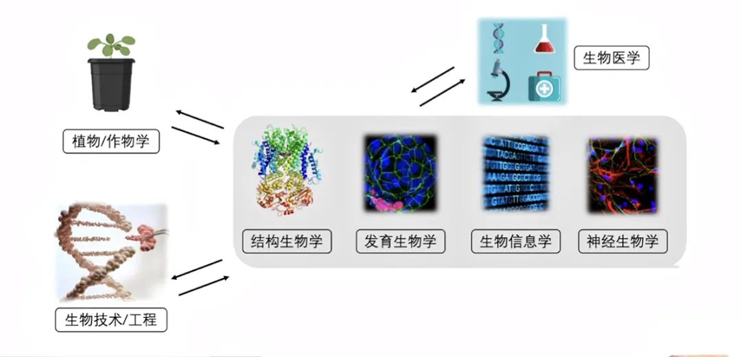 生物学研究 | 探索全美顶尖生物学！