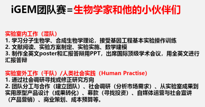 iGEM大赛是什么？2024年iGEM大赛赛程介绍，附iGEM金犀班安排