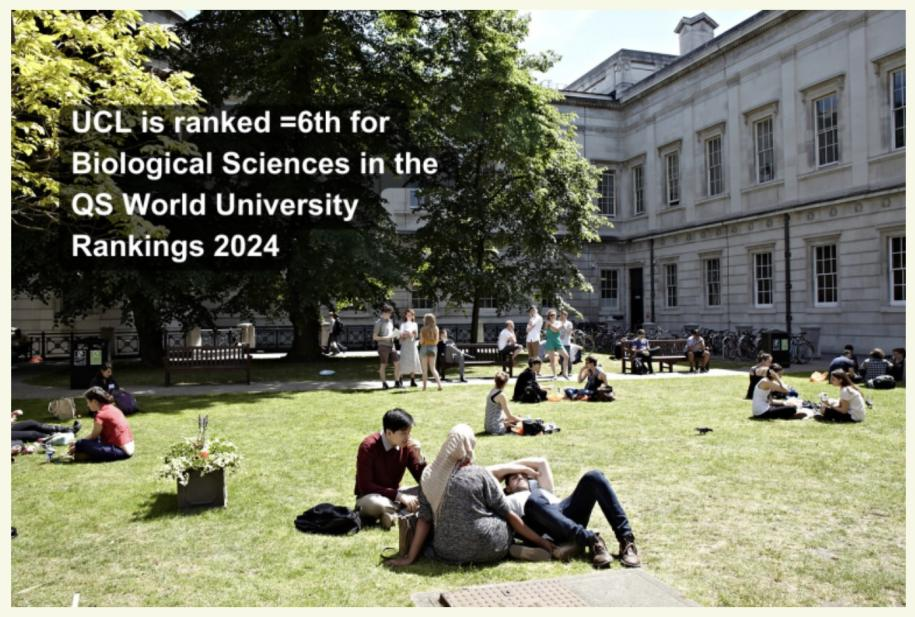UCL特辑 | 作为G5最好申院校，UCL名列世界前十的专业都是哪些？