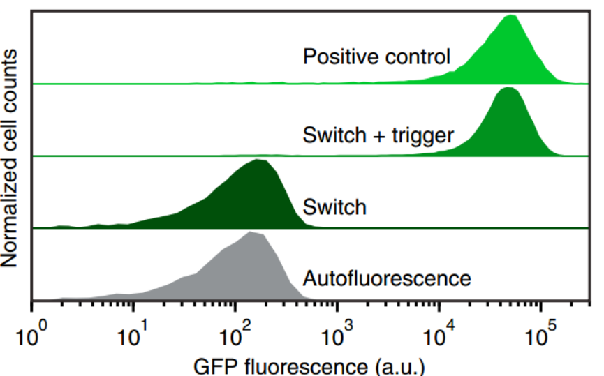 iGEM文献分享——Toehold Switches