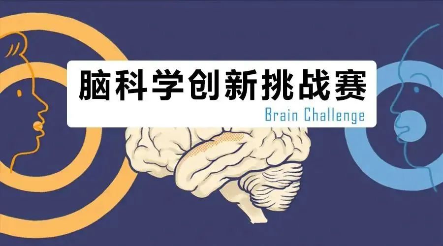 备战2024年脑科学创新挑战赛（Brain Challenge）