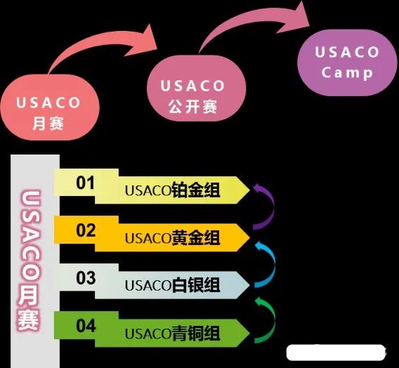 USACO竞赛语言怎么选？USACO做题步骤详解，USACO竞赛班型课程