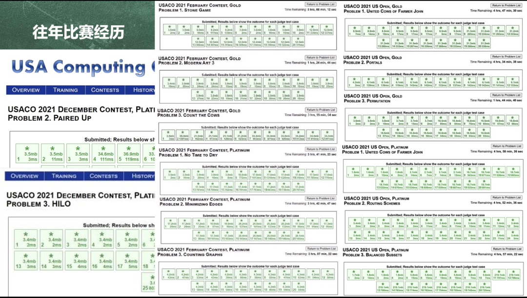 USACO计算机竞赛，四个级别到哪个级别对申请有用？