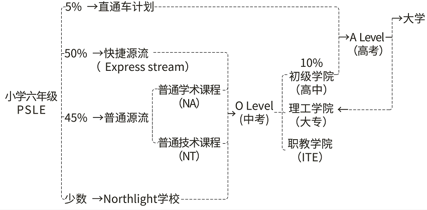 中专生姜萍数学竞赛全球12名！中考生的出路，不止是普高……