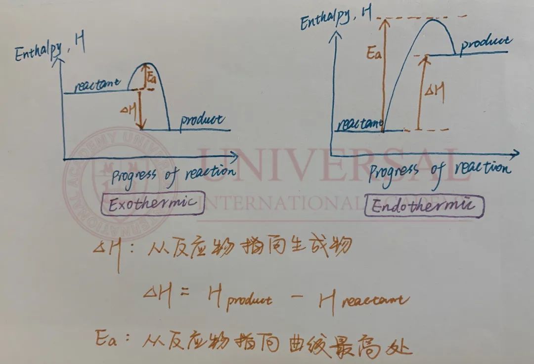 G5教研｜化学 U2高频题型反应速率梳理