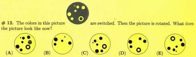 袋鼠数学竞赛考什么？可以培养孩子的哪些能力？袋鼠竞赛暑期培训班开课啦~