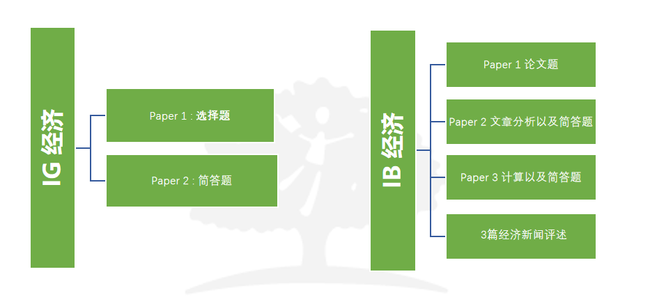 IG过渡IB给孩子难哭了！暑假怎么学才能拿到7分？