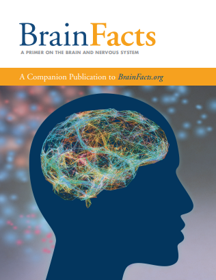 Brain Bee脑科学大赛报名截至7月30号|报名方式、含金量