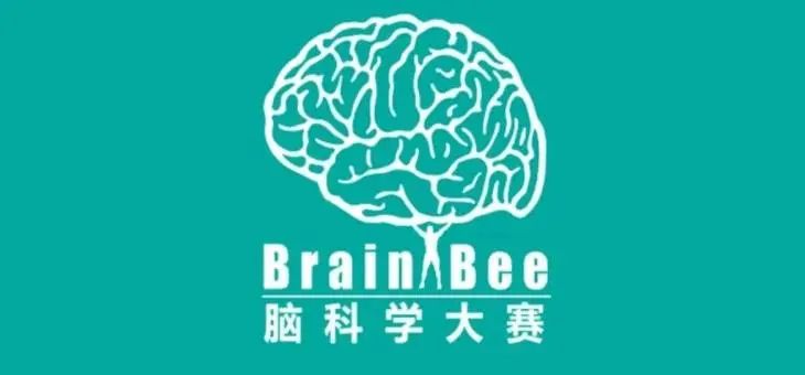 报名截止倒计时！2024年脑科学创新挑战赛！附备战宝典！