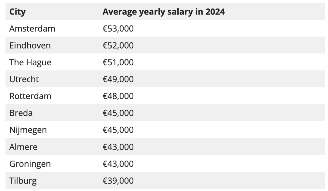 2024荷兰最新薪资情况大公开！留荷打工人一年到底能赚多少钱？