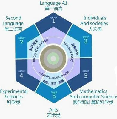 杭州IB课程培训不踩雷，在杭州已超过10余所IBO官网认证的IB学校~