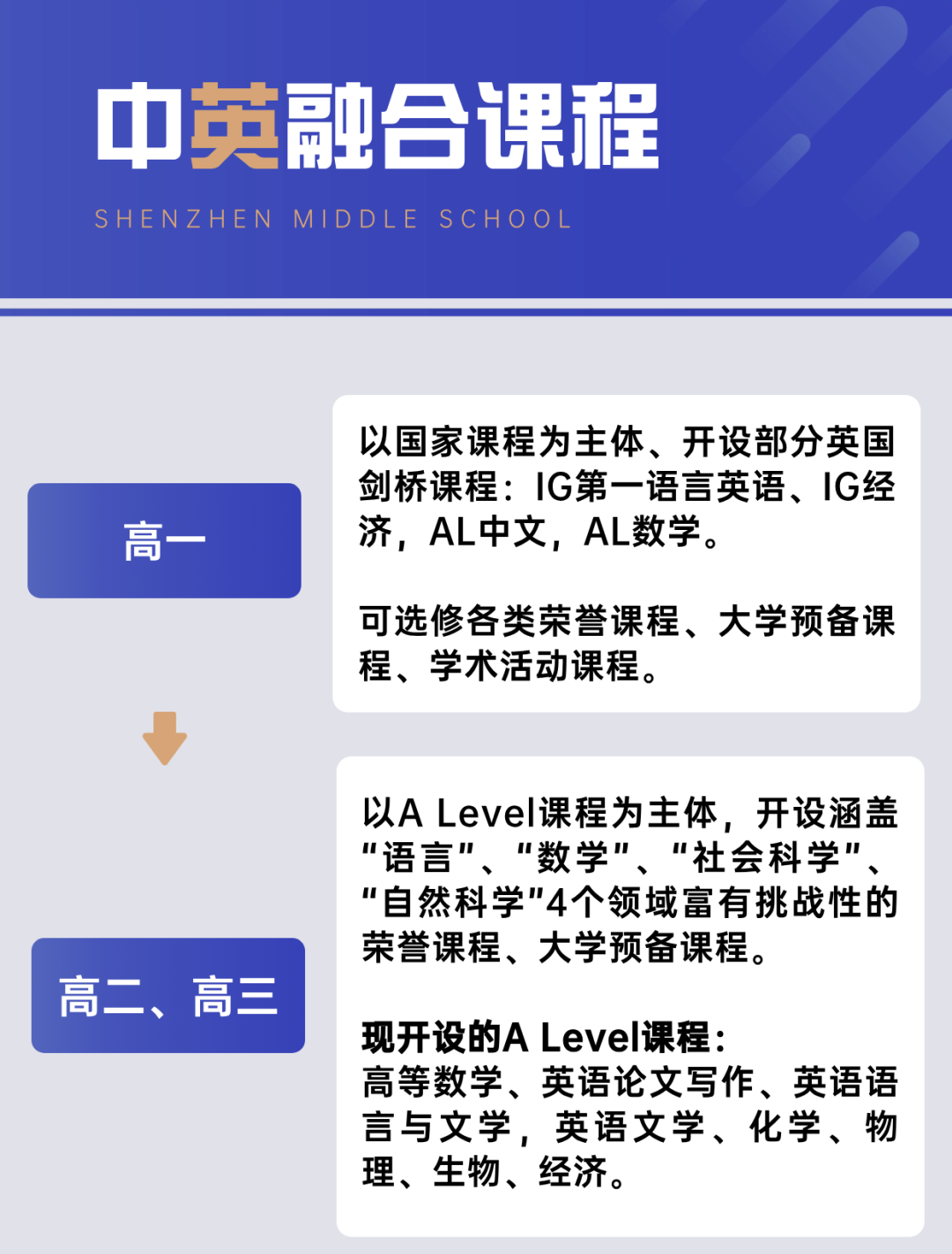 深中学高中国际部开设的AP/alevel课程怎么设置？深圳alevel/IG线下课程