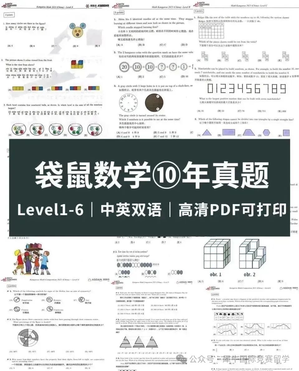 袋鼠数学竞赛报名开始了吗？个人怎么报名？