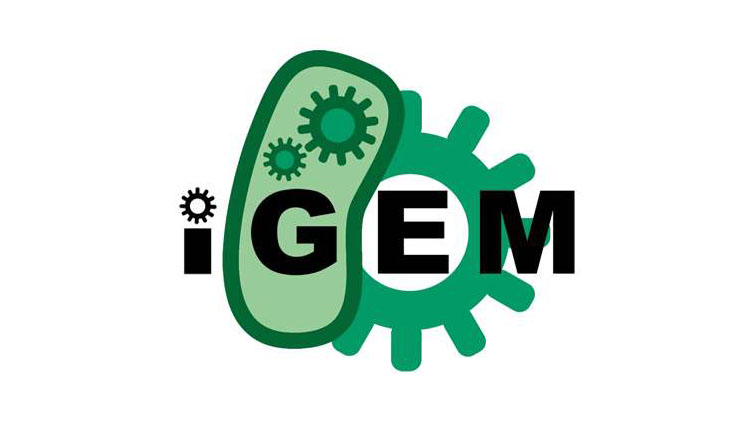 iGEM是什么？不同学科在iGEM分工中可以收获什么？