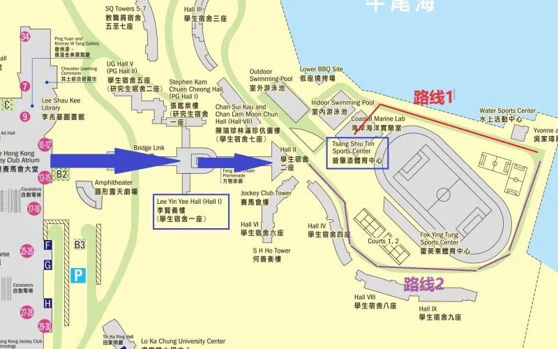 新生必看！保姆级入学攻略来袭！（港大、港中文、港科技）