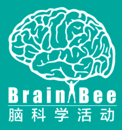 低年级零基础也能参加的Brain bee脑科学竞赛，Brain bee竞赛冲刺组班中~