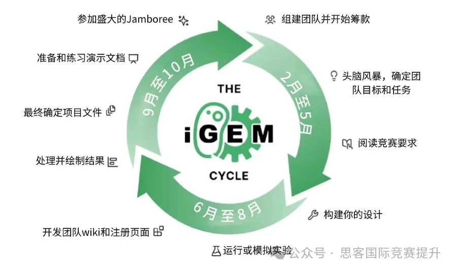 iGEM为什么被称为全科皆可参与的万金油竞赛？如何高效备赛iGEM？