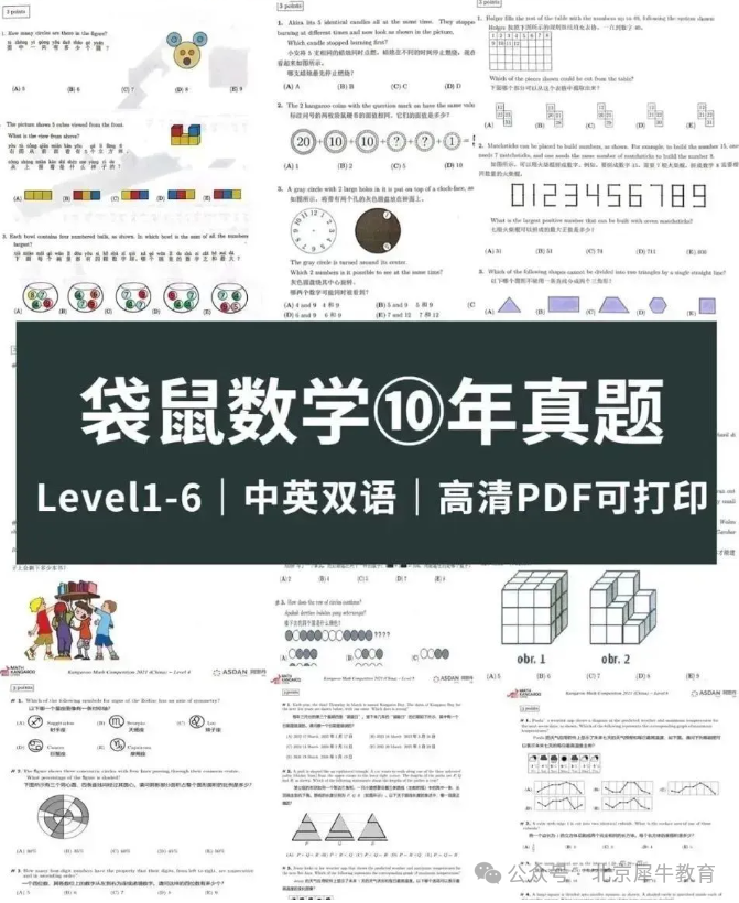 终于把袋鼠数学竞赛讲清楚了！2025年袋鼠竞赛怎么报名？