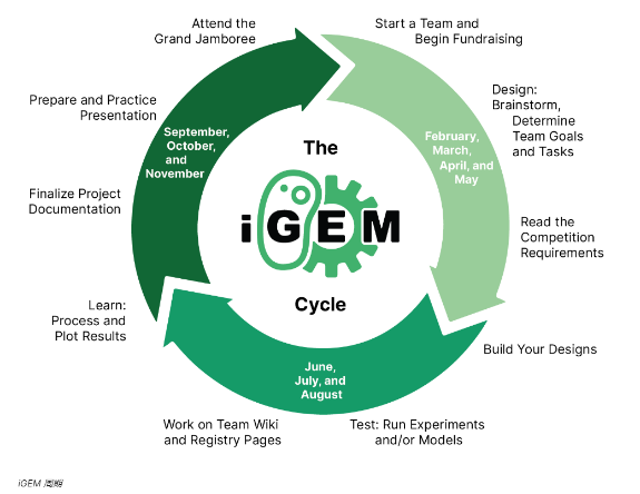 iGEM报名流程一文详解！附20年iGEM赛程时间安排