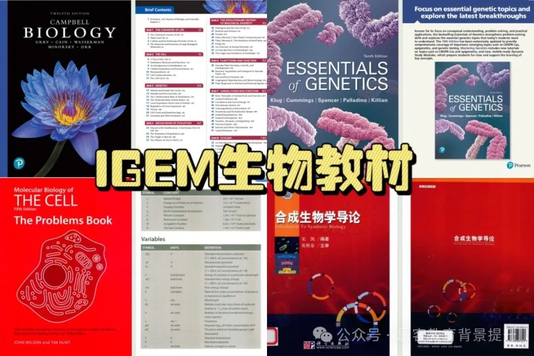 igem比赛费用多少？igem团队分工如何？